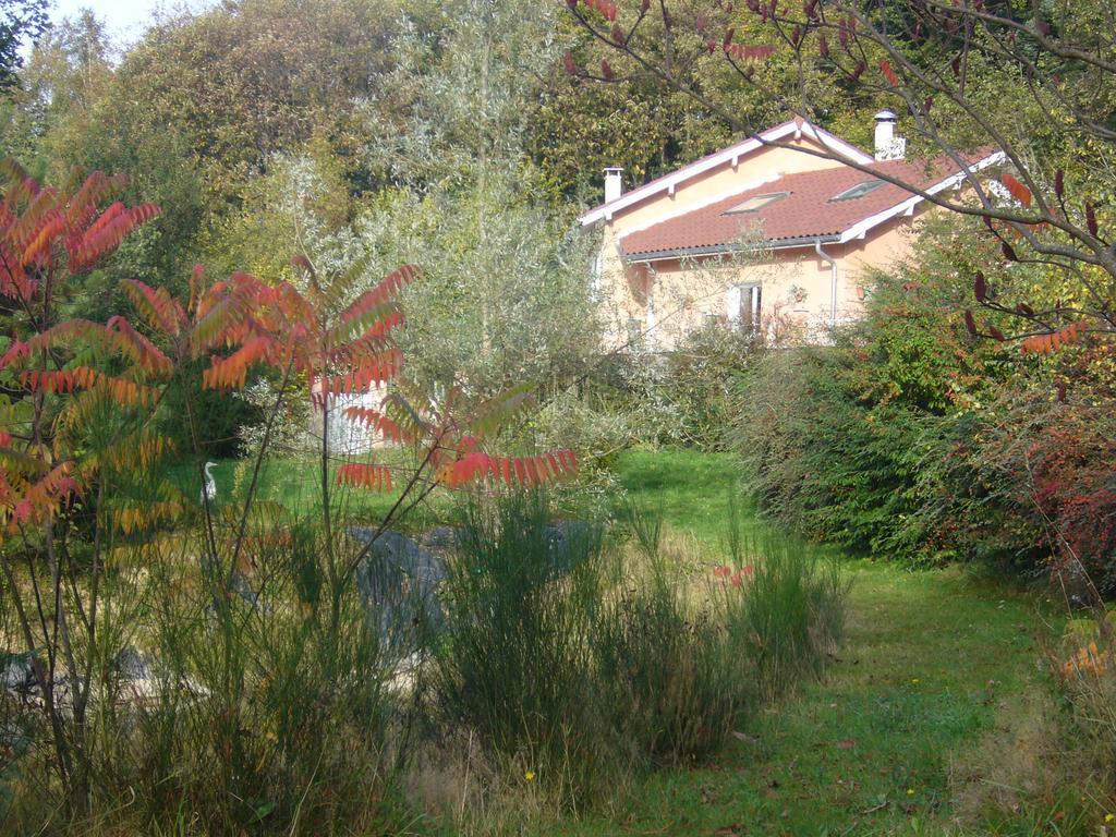 Le Jardin Ombrage Bed & Breakfast Saint-Paul-d'Izeaux Room photo
