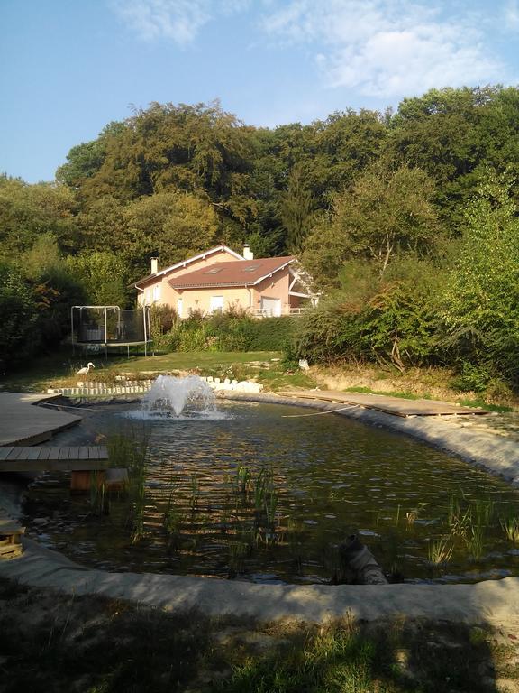 Le Jardin Ombrage Bed & Breakfast Saint-Paul-d'Izeaux Exterior photo